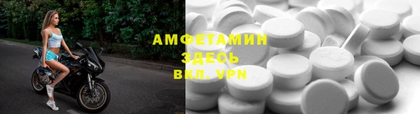 хмурый Абаза