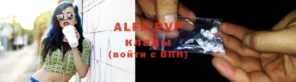 хмурый Абаза